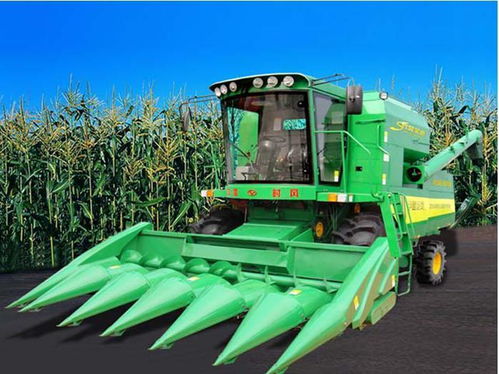 山东时风玉米收割机 高新技术创造高新玉米收割机